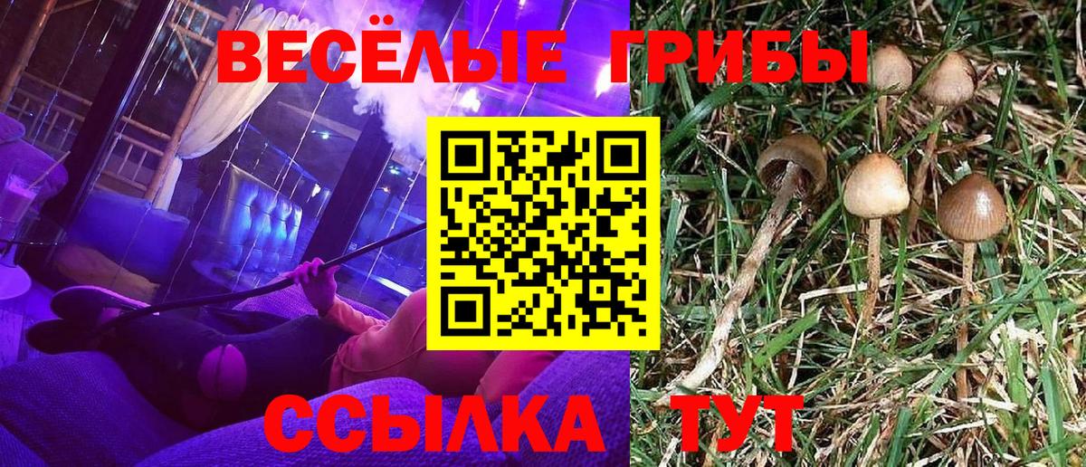 Псилоцибиновые грибы Magic Shrooms Тавда